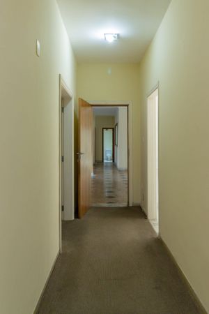 Image 13 - 886855