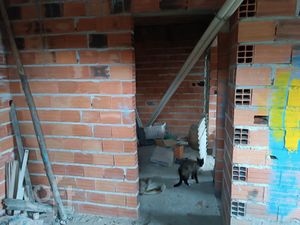 Image 19 - 886924