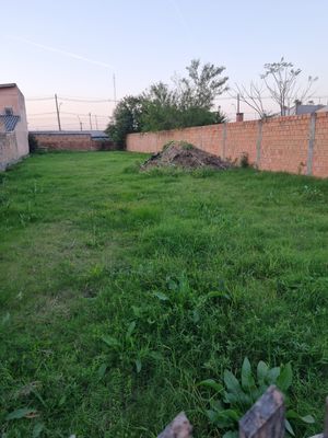 Image 3 - 886941