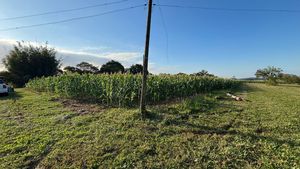Image 14 - 886996