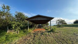 Image 17 - 886996