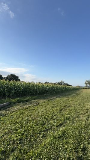 Image 2 - 886996