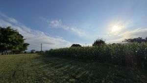 Image 4 - 886996