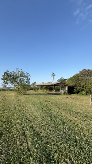 Image 6 - 886996