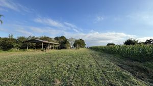 Image 3 - 886996