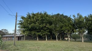 Image 11 - 886996