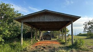 Image 15 - 886996