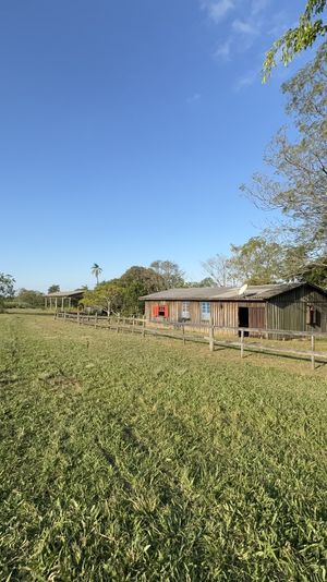 Image 13 - 886996