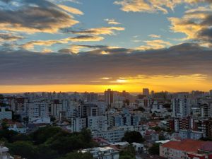 Image 24 - 887017