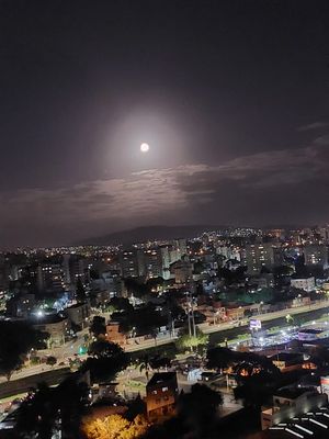 Image 25 - 887017