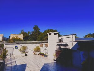 Image 24 - 887039