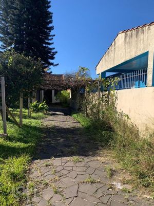 Image 8 - 887379