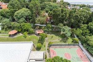 Image 14 - 887484