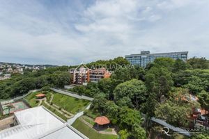 Image 13 - 887484