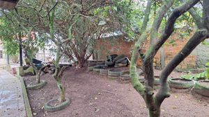 Image 46 - 887501