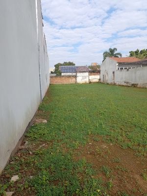 Image 3 - 887585