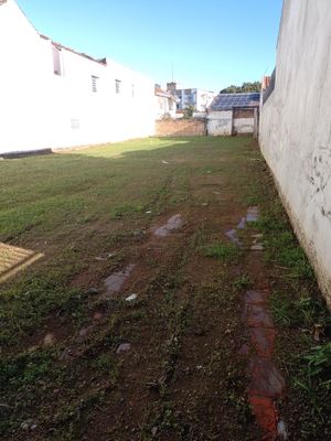 Image 5 - 887585