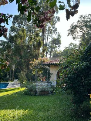 Image 8 - 887595