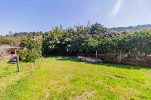 Image 34 - 887711