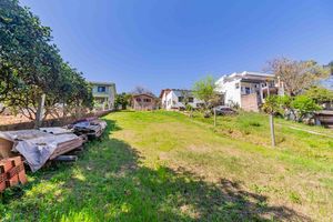 Image 37 - 887711