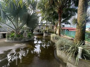 Image 24 - 887729