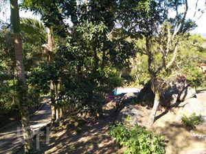 Image 54 - 887784