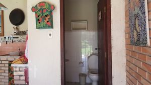 Image 11 - 887784