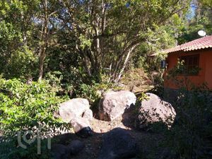 Image 48 - 887784