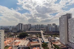 Image 14 - 887806