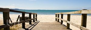 Image 18 - 887829