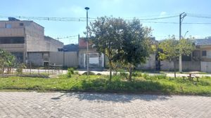 Image 5 - 887869
