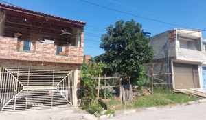 Image 3 - 887869
