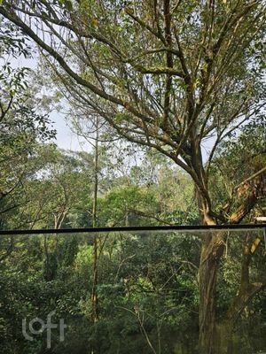 Image 8 - 887883