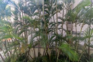 Image 3 - 887891