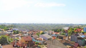 Image 11 - 887901