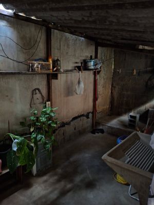Image 11 - 887962