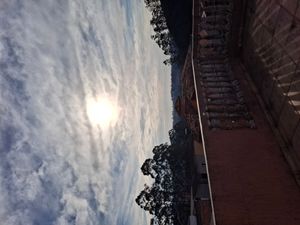 Image 10 - 887962