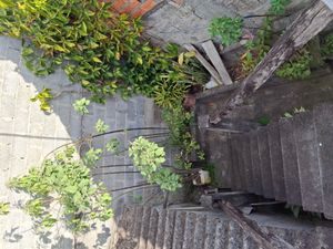 Image 6 - 887962