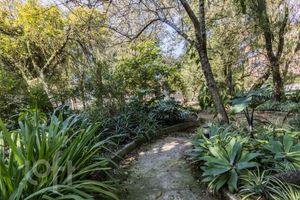 Image 17 - 888072