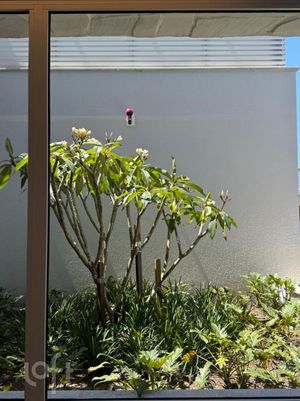 Image 8 - 888259