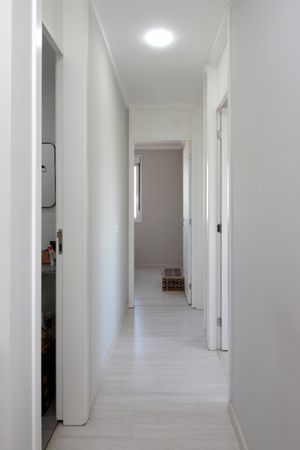 Image 20 - 888264