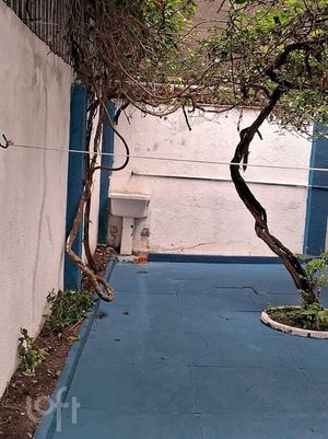 Image 8 - 888387