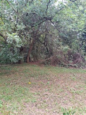 Image 1 - 888395