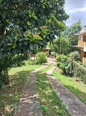 Image 8 - 888395