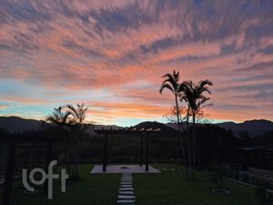 Image 24 - 888502