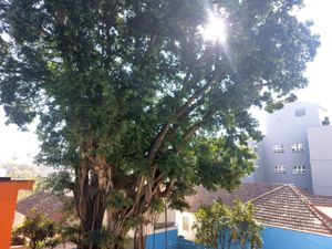 Image 36 - 888515