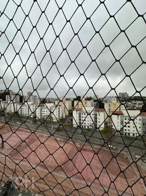 Image 7 - 888521