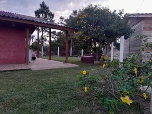 Image 19 - 888543