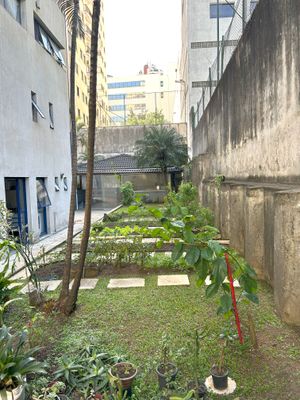 Image 25 - 888544