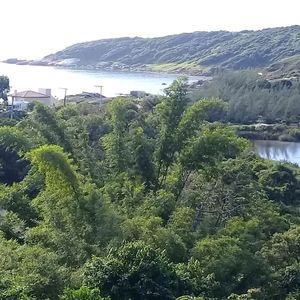 Image 6 - 888554